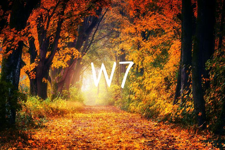 W7