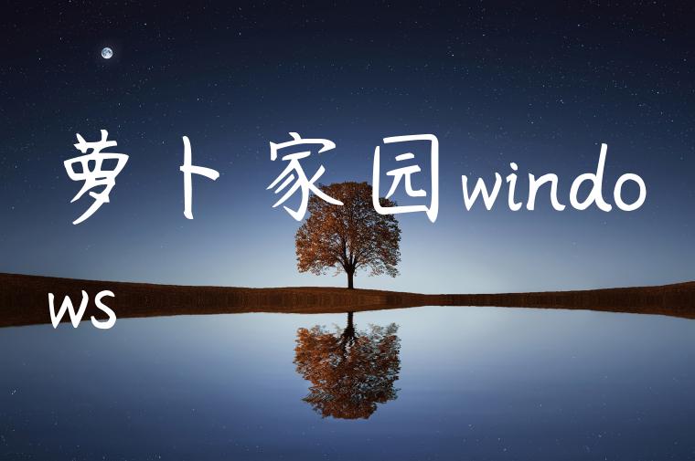 萝卜家园windows