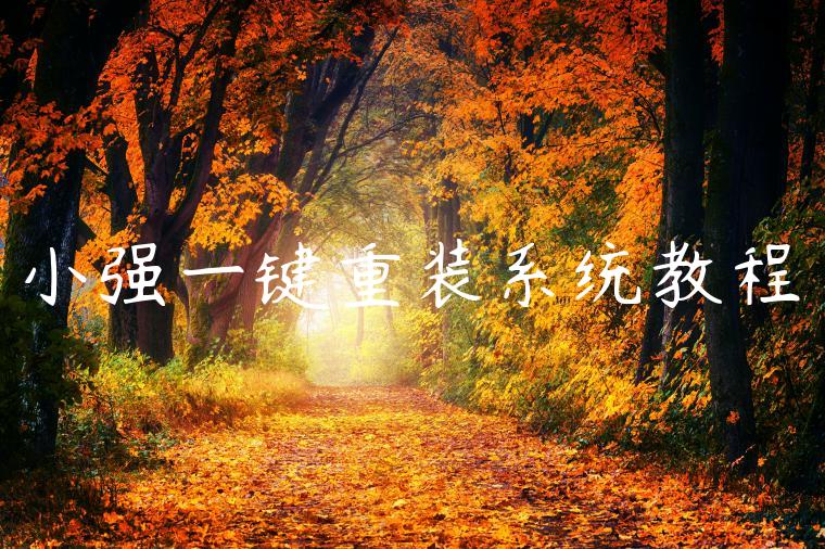 小强一键重装系统教程