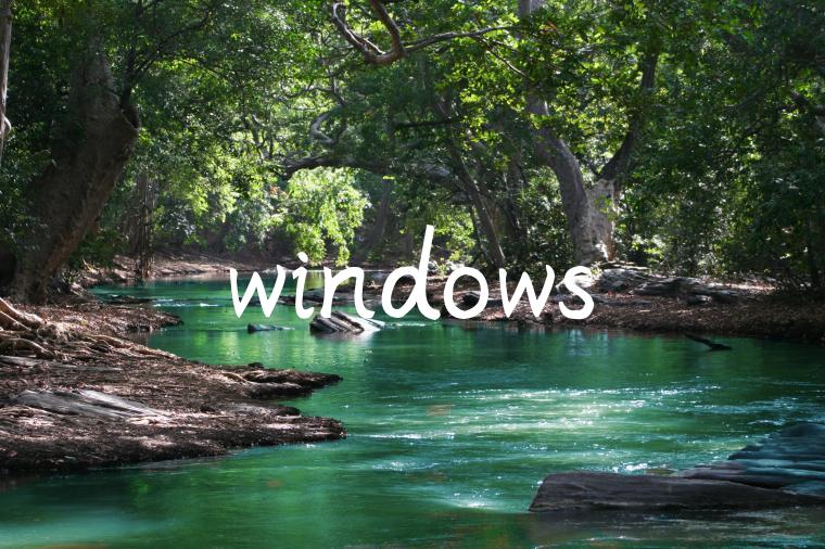 windows