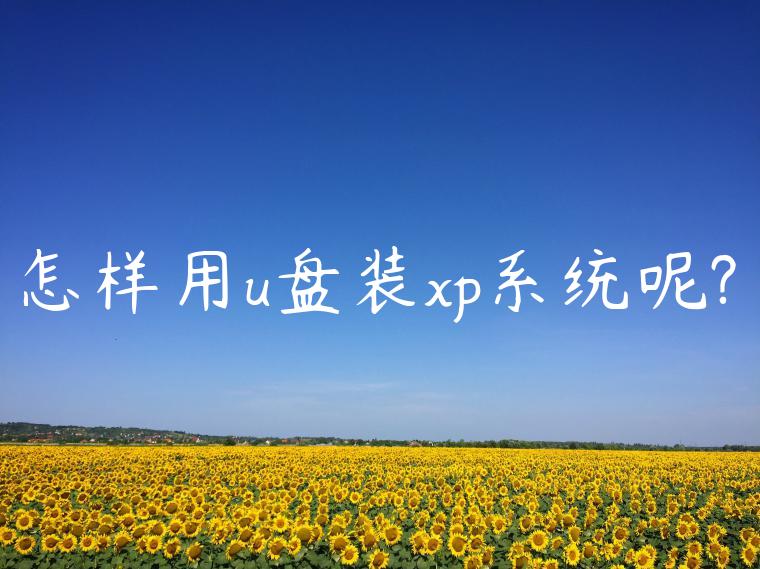 怎样用u盘装xp系统呢?