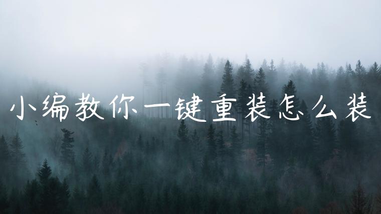 小编教你一键重装怎么装