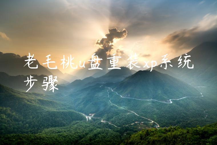 老毛桃u盘重装xp系统步骤