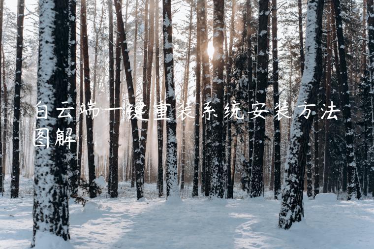 白云端一键重装系统安装方法图解