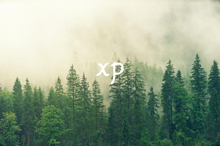 xp