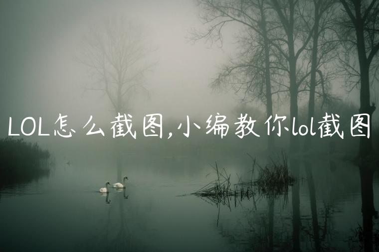 LOL怎么截图,小编教你lol截图
