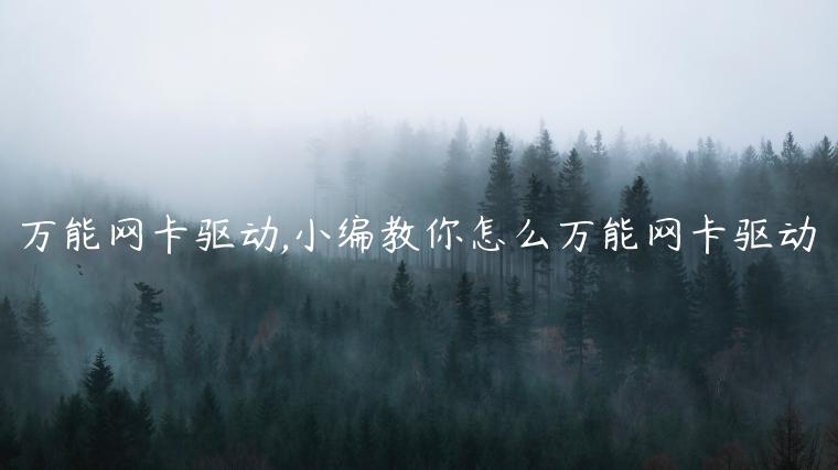 万能网卡驱动,小编教你怎么万能网卡驱动