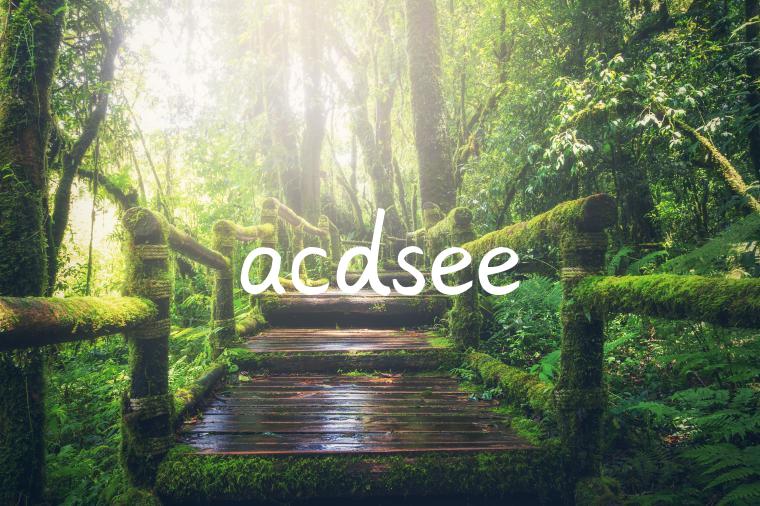 acdsee