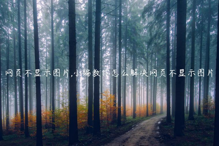 网页不显示图片,小编教你怎么解决网页不显示图片