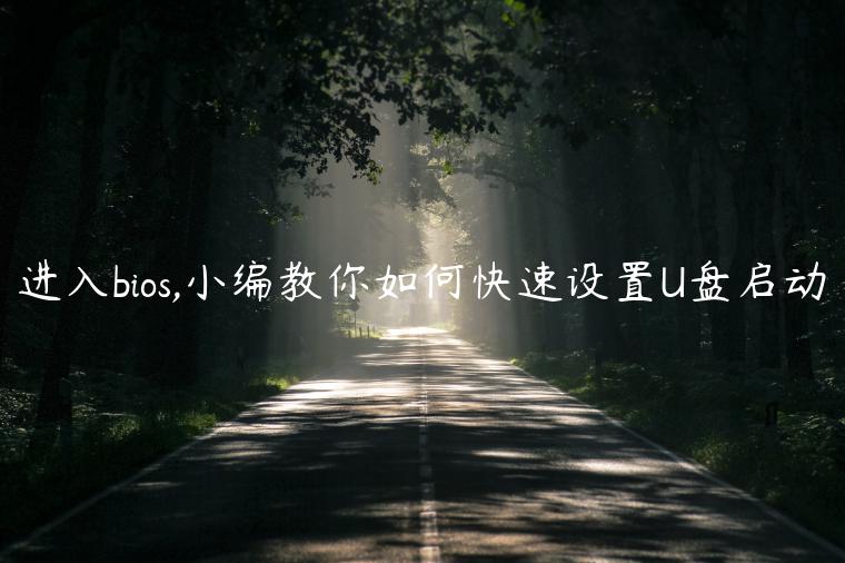 进入bios,小编教你如何快速设置U盘启动