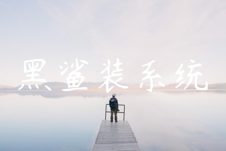 黑鲨装系统
