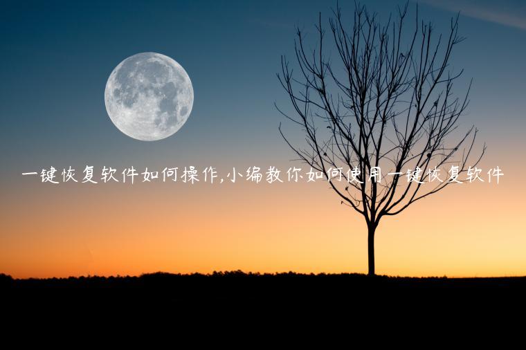 一键恢复软件如何操作,小编教你如何使用一键恢复软件