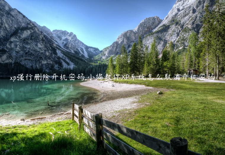 xp强行删除开机密码,小编教你XP系统怎么取消开机密码