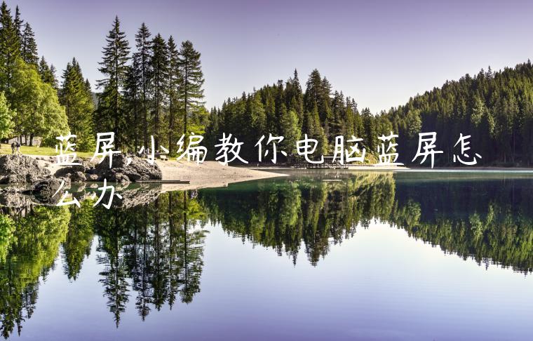 蓝屏,小编教你电脑蓝屏怎么办