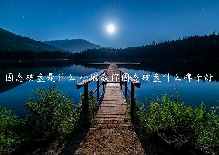 固态硬盘是什么,小编教你固态硬盘什么牌子好
