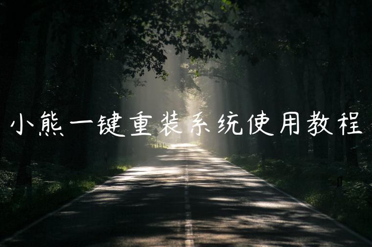 小熊一键重装系统使用教程