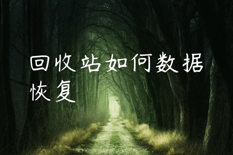 回收站如何数据恢复