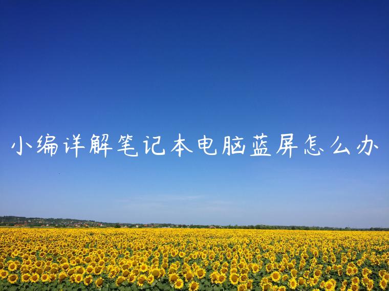 小编详解笔记本电脑蓝屏怎么办