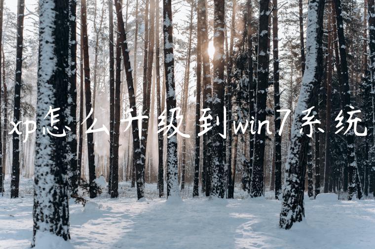 xp怎么升级到win7系统