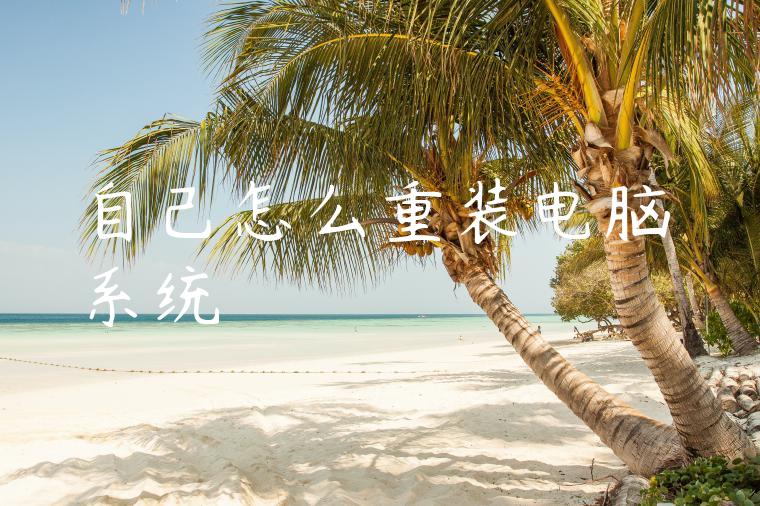 自己怎么重装电脑系统