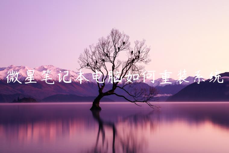 微星笔记本电脑如何重装系统