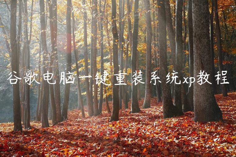 谷歌电脑一键重装系统xp教程