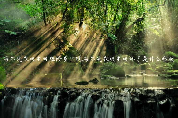 海尔洗衣机电机维修多少钱,海尔洗衣机电机坏了是什么症状