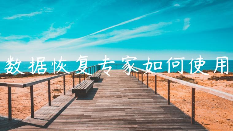 数据恢复专家如何使用