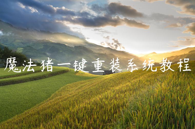 魔法猪一键重装系统教程