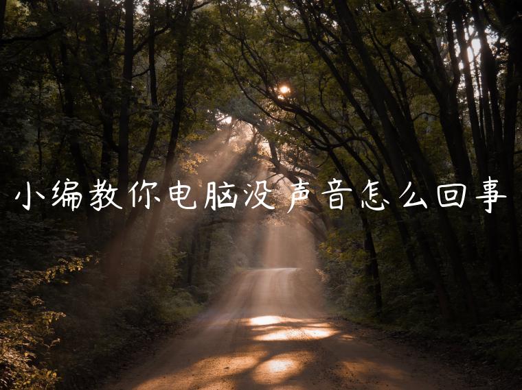 小编教你电脑没声音怎么回事