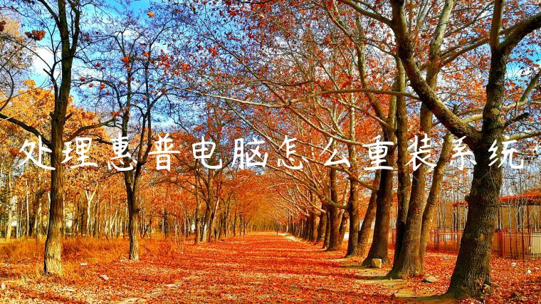 处理惠普电脑怎么重装系统