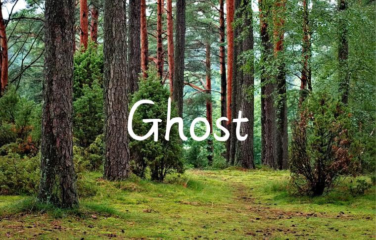 Ghost