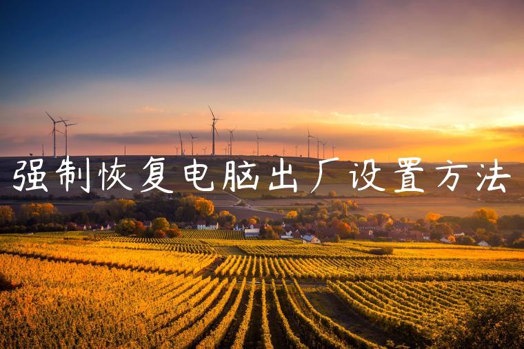 强制恢复电脑出厂设置方法