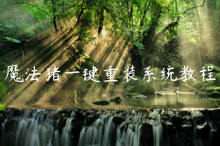 魔法猪一键重装系统教程