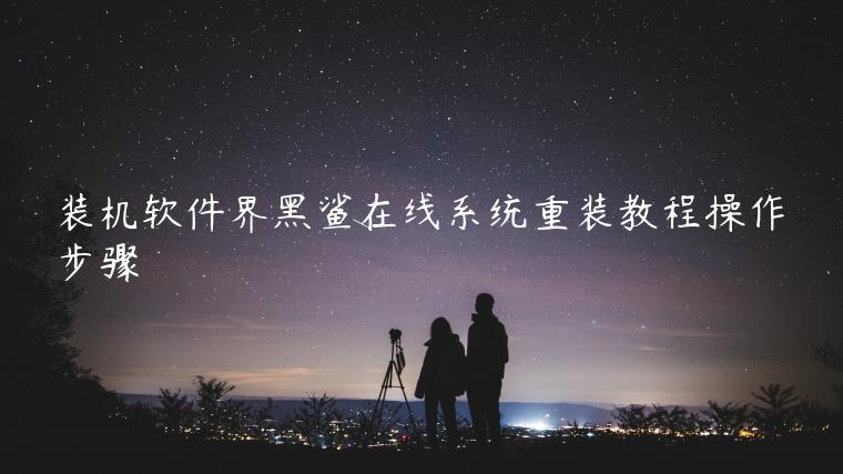 装机软件界黑鲨在线系统重装教程操作步骤