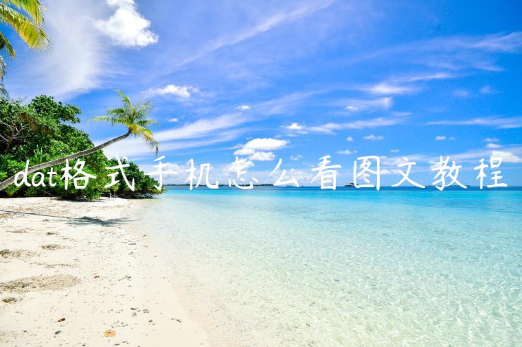 dat格式手机怎么看图文教程