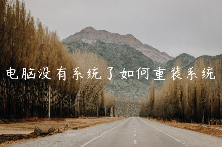 电脑没有系统了如何重装系统