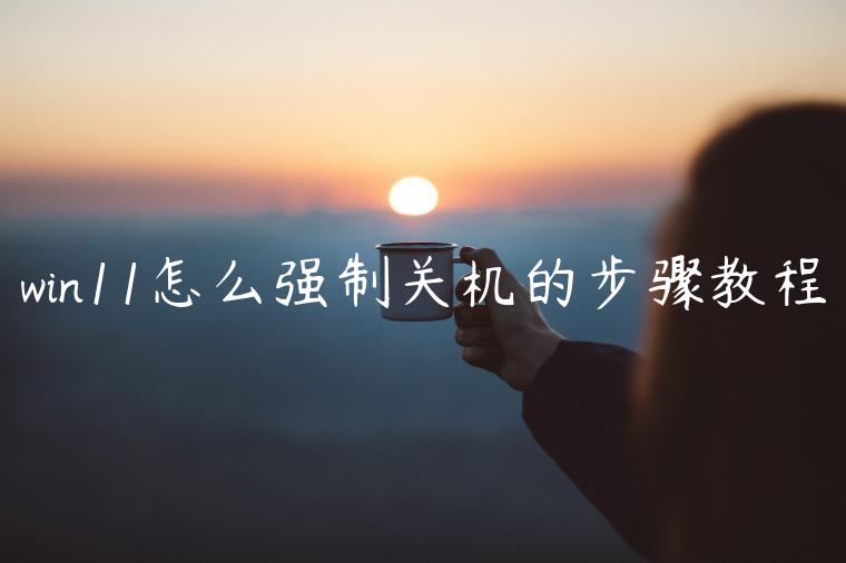 win11怎么强制关机的步骤教程