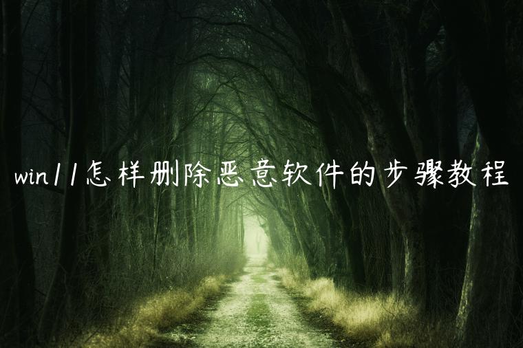 win11怎样删除恶意软件的步骤教程