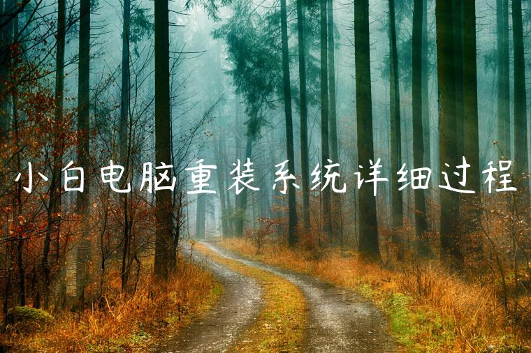 小白电脑重装系统详细过程