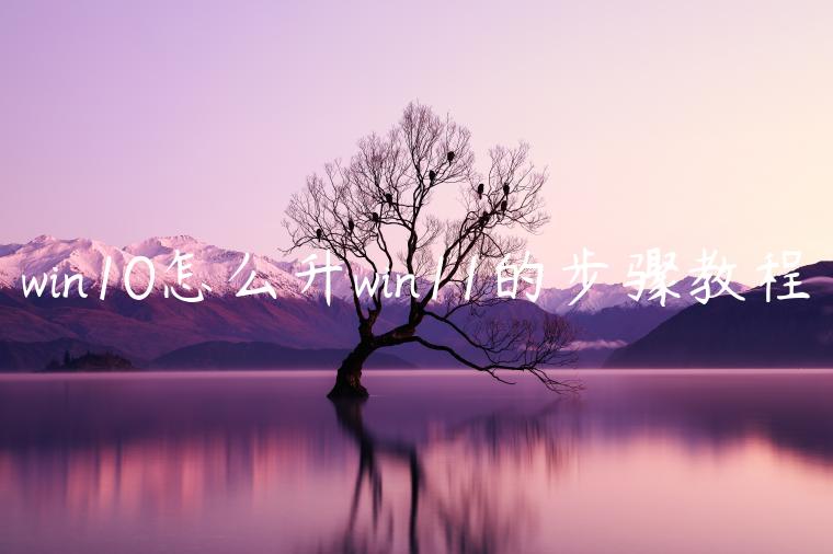 win10怎么升win11的步骤教程