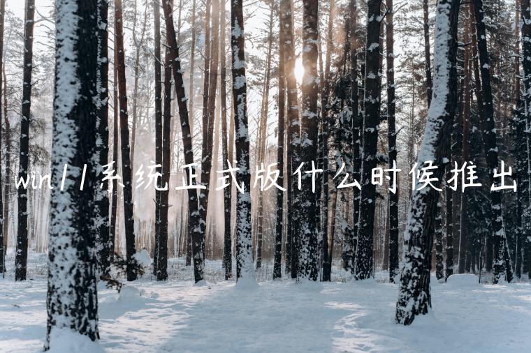 win11系统正式版什么时候推出