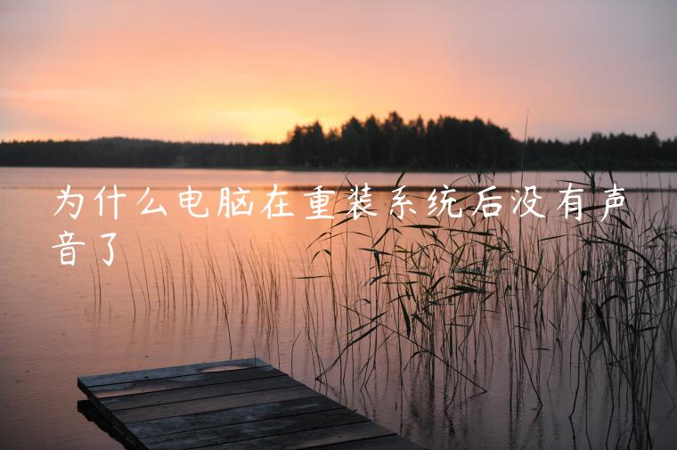 为什么电脑在重装系统后没有声音了