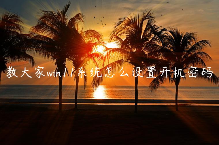 教大家win11系统怎么设置开机密码