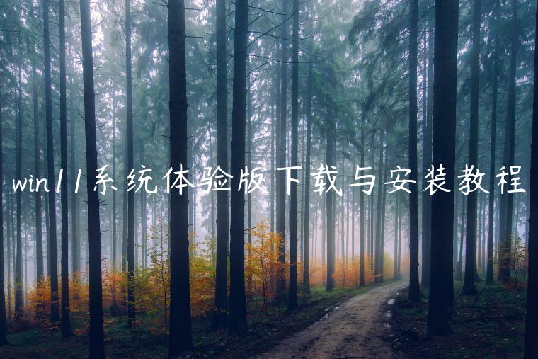 win11系统体验版下载与安装教程