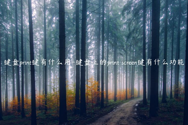 键盘print键有什么用-键盘上的print screen键有什么功能