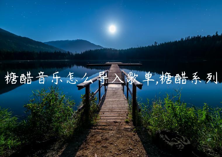 糖醋音乐怎么导入歌单,糖醋系列