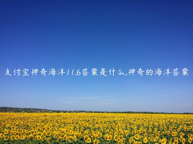 支付宝神奇海洋11.6答案是什么,神奇的海洋答案