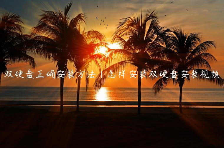 双硬盘正确安装方法|怎样安装双硬盘安装视频