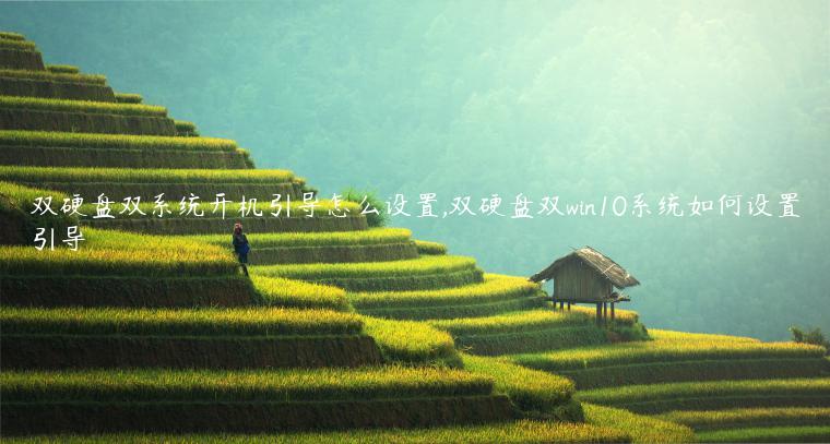双硬盘双系统开机引导怎么设置,双硬盘双win10系统如何设置引导